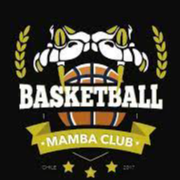 https://img.cqzxqcpj.cn/img/basketball/team/5a25c8f4beddc4bb09d61aeeb72d91ff.png