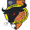 https://img.cqzxqcpj.cn/img/basketball/team/c1db3c6c020f4ef09a4120fc0f7ff429.png